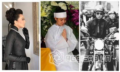 Hoa hậu Phụ nữ người Việt quốc tế 2017, Thái Nhiên Phương, Sao Việt