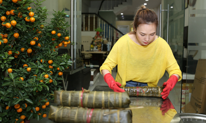 Nhật Tinh Anh, Ca sĩ Nhật Tinh Anh, Sao Việt