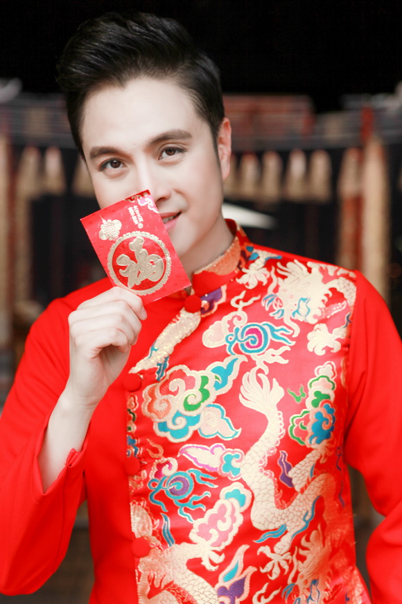 Nhật Tinh Anh, Ca sĩ Nhật Tinh Anh, Sao Việt