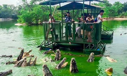 Cung đường Rồng Bay, Du lịch Nhật Bản, Công ty Du Lịch Việt