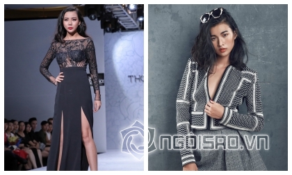 Nguyên Duy, Ca sĩ Nguyên Duy, Sao Việt