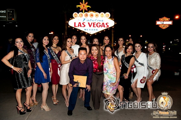 Mrs. Vietnam World 2017, hoa hậu Nguyễn Bảo Ngọc, Sao việt