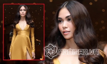 Vi Nhạn Ngọc, Ca sĩ Vi Nhạn Ngọc, sao việt
