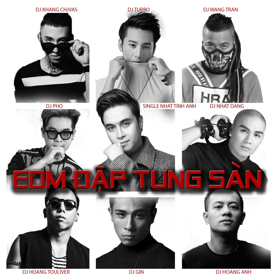 Nhật Tinh Anh, Nhật Tinh Anh EDM - Đập tung sàn, sao việt