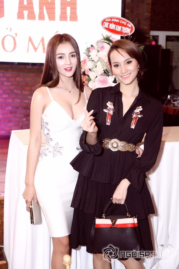 Vi Nhạn Ngọc, ca sĩ Vi Nhạn Ngọc, sao việt