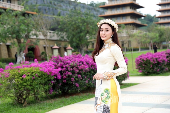 Võ Hồng Nhung, Hoa hậu sắc đẹp Việt Toàn cầu 2017, Sao việt