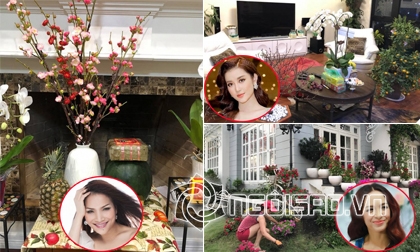 Trần Hồng Tươi, Hoa hậu Đông Nam Á Trần Hồng Tươi, sao việt