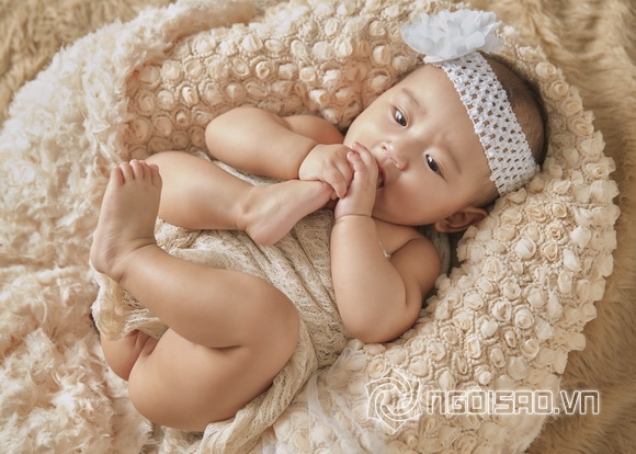Hoa hậu Jenny Trần, sao việt