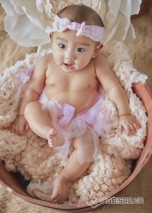 Hoa hậu Jenny Trần, sao việt
