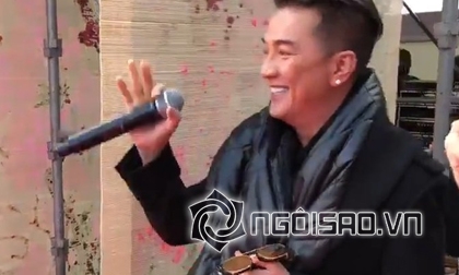 Á hậu Ý Lan, sao việt