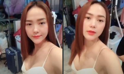Vi Nhạn Ngọc, sao việt