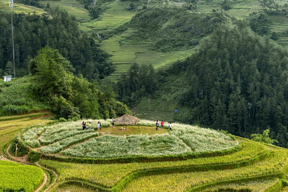 trải nghiệm hành trình di sản tại Yên Bái, Á hậu Nguyễn Liên Phương, Sao Việt