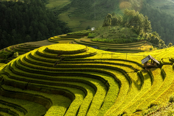 trải nghiệm hành trình di sản tại Yên Bái, Á hậu Nguyễn Liên Phương, Sao Việt
