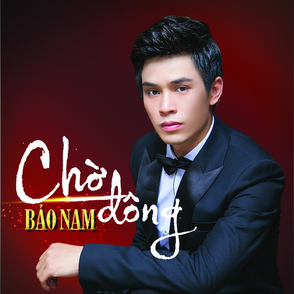 Ca sĩ Bảo Nam, sao việt