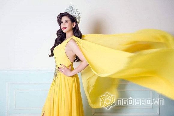 Thien Sarah Le, Hoa hậu Phu nhân người Việt trên toàn thế giới, sao việt