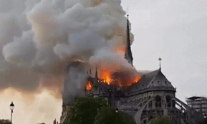 Cháy nhà thờ đức bà Paris, Clip hot, Clip ngôi sao