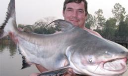 Những thủy quái khổng lồ từng bị bắt tại sông Mekong