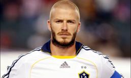 Becks sẽ đến Đông Nam Á vào đầu tháng 12