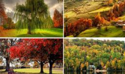 Vòng quanh trái đất ngắm sắc thu huyền ảo