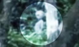 Video: "Người ngoài hành tinh" xuất hiện ở rừng Amazon