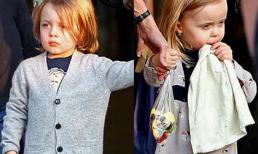 "Tiểu thư" Vivienne đáng yêu, "công tử" Knox nam tính