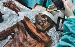 "Lời nguyền" của xác ướp 5300 năm bí ẩn