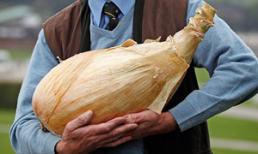 Kỷ lục thế giới: Củ hành nặng 8,1 kg