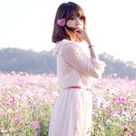 Nữ sinh Việt đẹp dịu dàng trên cánh đồng hoa Hàn Quốc