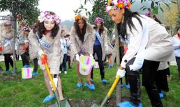 Trúc Diễm xinh tươi đi trồng cây!