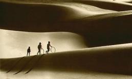 Vẻ đẹp Việt dưới ống kính nhiếp ảnh gia Trung Quốc