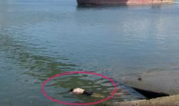 Xác chết không đầu, không tay chân trên bãi biển