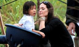 Pax Thiên và hành trình 4 năm cùng mẹ Angelina