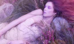 Nàng công chúa kiều diễm trong rừng