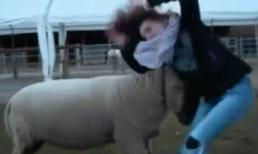 Tuyển tập sự cố hài hước khắp 5 Châu