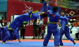 Những pha "bay lượn" tuyệt đẹp của võ sĩ Vovinam Việt Nam