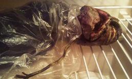 Xác người ngoài hành tinh trong... tủ lạnh