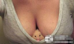 Cười chủ nhật: Tình huống không mong muốn!?