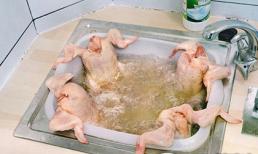 Cười seri: Những khoảnh khắc có một không hai (P2)