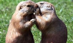 Khi bí mật được bật mí