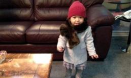 Hình ảnh "siêu... đáng yêu" của con gái Triệu Vy