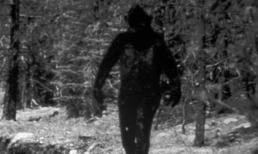 Tìm thấy dấu tích người tuyết ở Nga