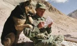 Tuyển tập những hình ảnh hài hước về quân đội các nước