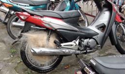 Quăng lưới bắt người vi phạm giao thông
