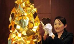 Chiêm ngưỡng cây thông Noel 2 triệu đô bằng vàng ròng