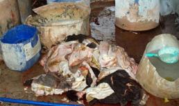 Ớn lạnh thịt thối - Kỳ 3: Công nghệ phù phép “thơm ngon”