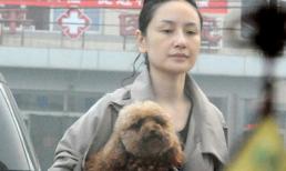 Tôn Ninh mặt mộc ôm cún đi dạo phố