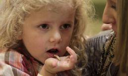 Rùng rợn những món ăn côn trùng trong lễ Tạ ơn