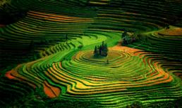 4 mùa Lào Cai đẹp sững sờ