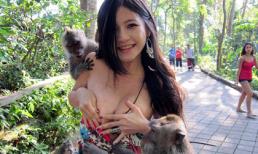 "Hot girl" bị khỉ tụt váy vì tưởng là... trái cây