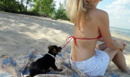 Cười seri: 'Món quà'... sau nút dây áo  (P3)